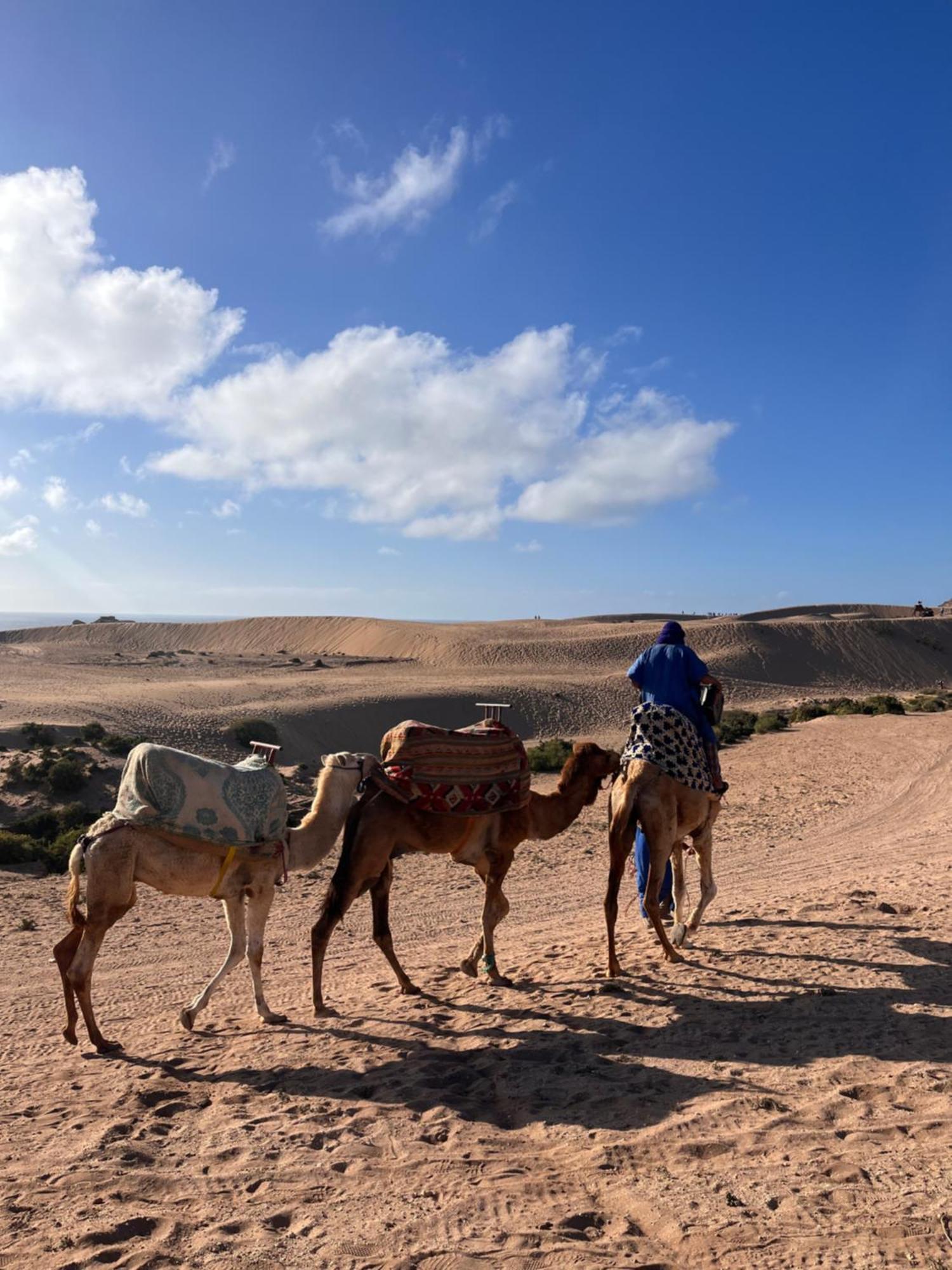 بيت شباب Nizar Surf Morocco تغازوت المظهر الخارجي الصورة